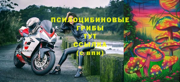 прущая мука Абаза