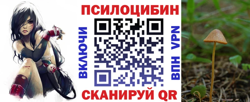 ссылка на мегу как зайти  Ковдор  даркнет клад  Псилоцибиновые грибы GOLDEN TEACHER 